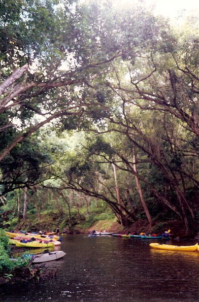 Wailua River at a trailhead