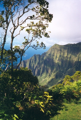 Waimea Canyon State Park