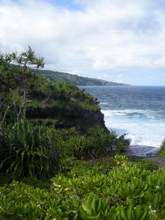 maui travel 