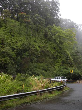 road to hana