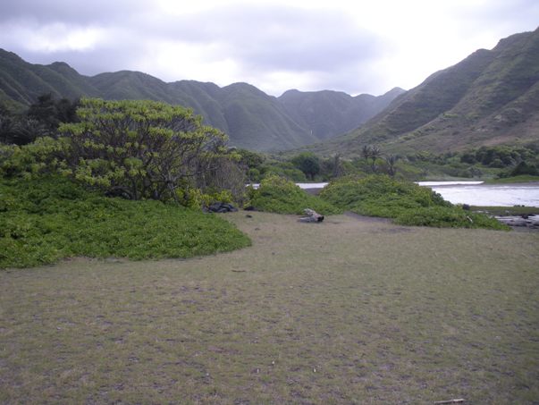 Halawa Valley 