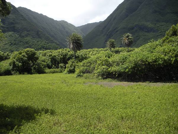 Kalaupapa