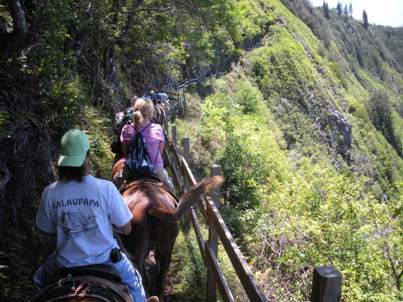 Molokai mule ride on Kalaupapa Trail