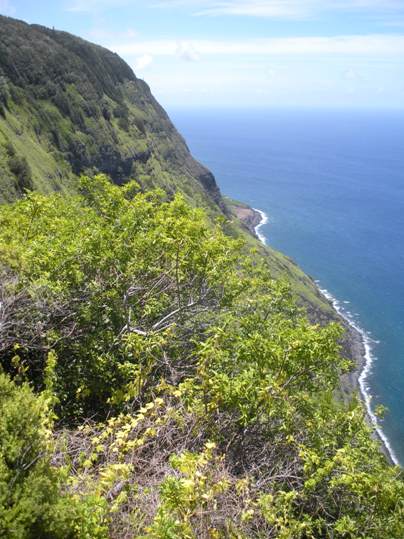 Kalaupapa Trail