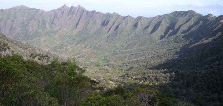 Ka'ala trail views