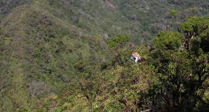 Ka'ala climbing route