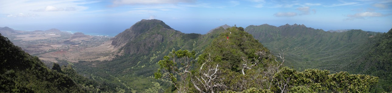 Ka'ala trail views