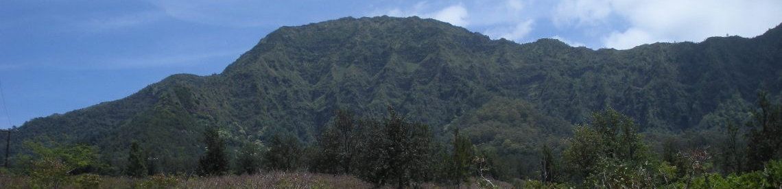 Ka'ala from the trailhead