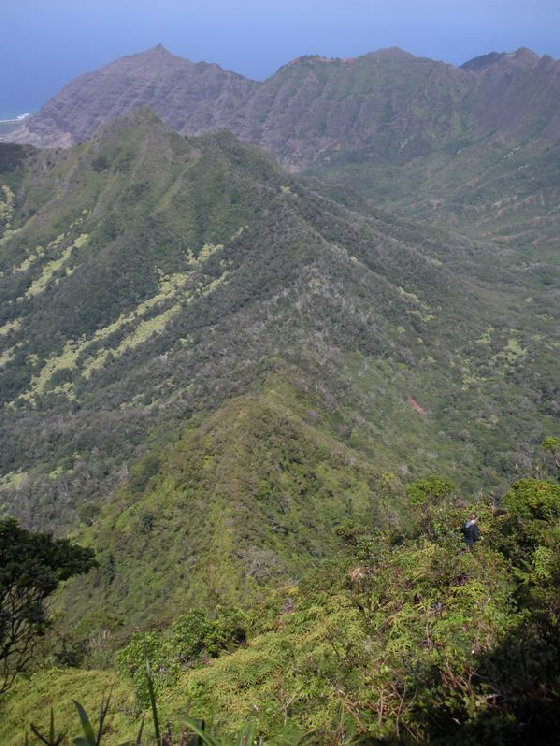 oahu climbing