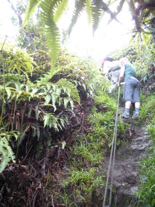 oahu climbing