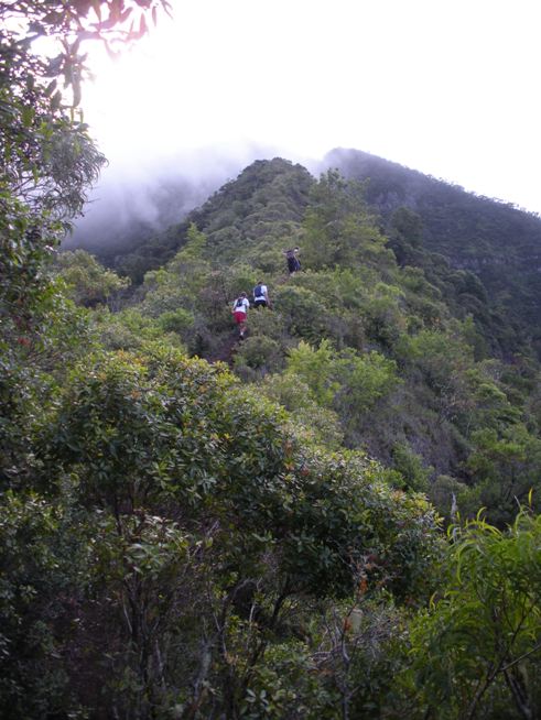 Ka'ala climbing route