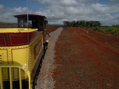 Pineapple Express Train at the Dole Plantation