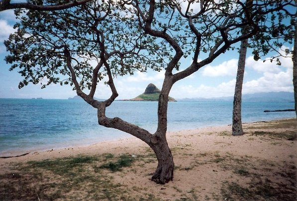 Beaches at Kaneohe