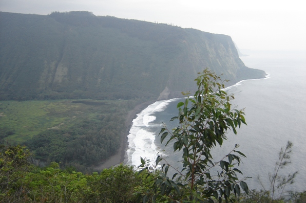 Waipi'o Valley overlook