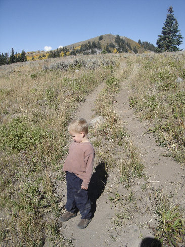 Bald Knoll trail