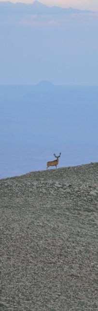 henry mountains