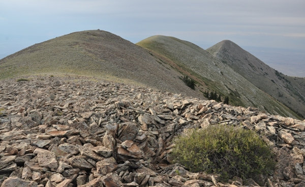 Mount Ellen 