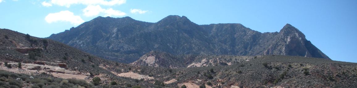 Mt. Ellsworth from Highway 