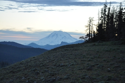 Mount Rainier 