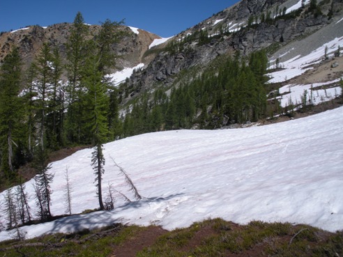 Carne Mountain High Route