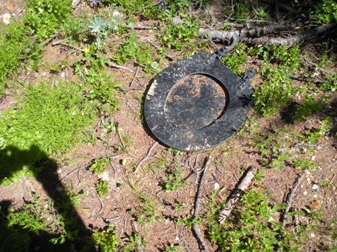 Toilet Seat