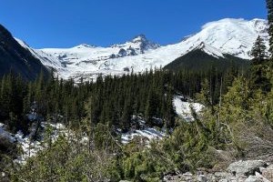 Glacier Basin 