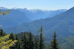 Huckleberry Ridge 