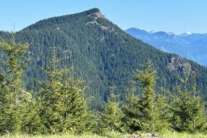 Kelly Butte East