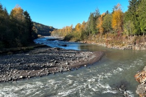 Mud Mountain 