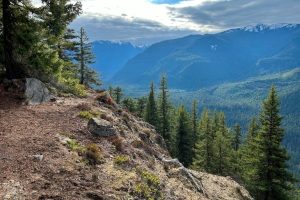 palisades-trail-viewpoint.jpg