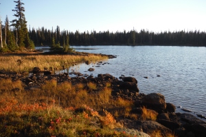 Twin Sisters Lakes