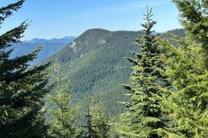 Whistler Creek 
