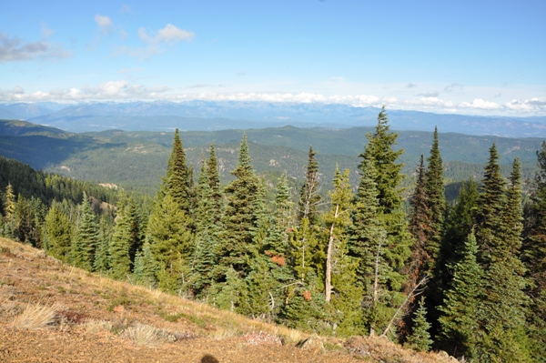 frost lookout