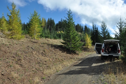 Frost Mountain trail