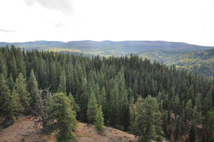 looking south