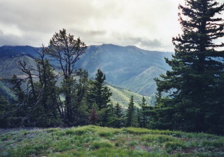 Quartz Mountain 