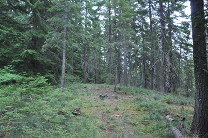 martin lookout site