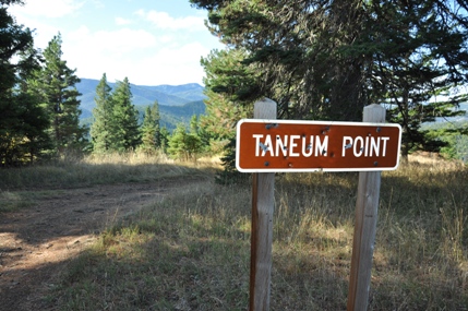 taneum point sign