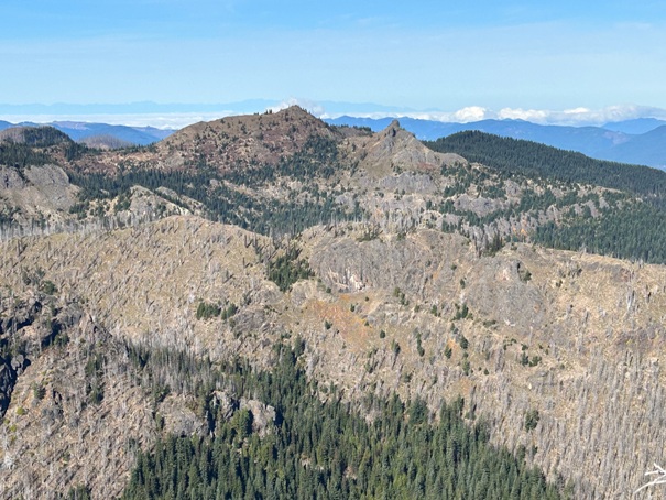 Noble Knob