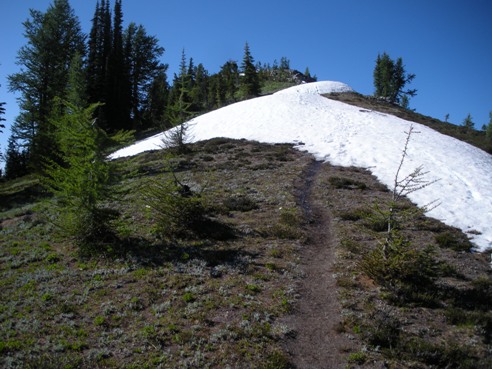 Carne Mountain trail 