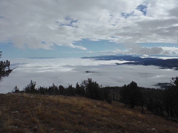 Sea of clouds