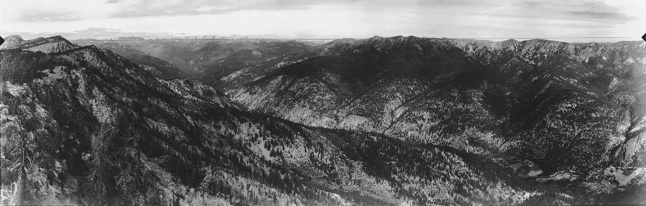 tyee lookout