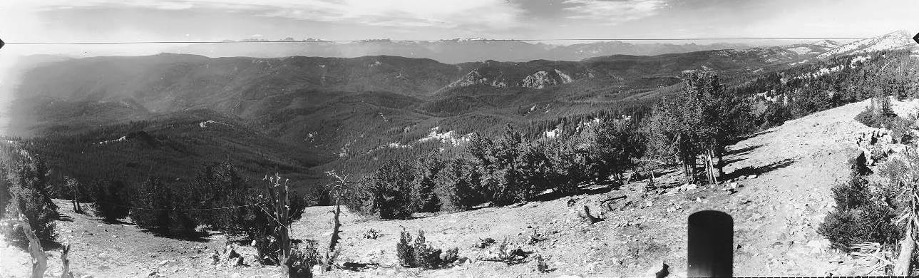 tyee lookout