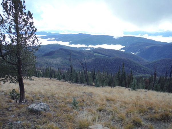 cascade mountains