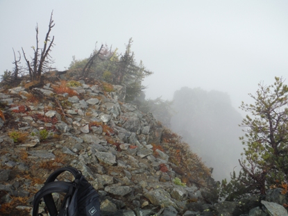 Signal Peak