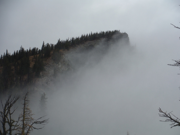 signal peak