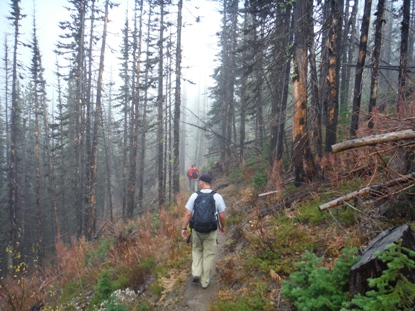 tyee ridge