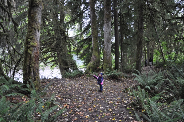 Stillaguamish River 