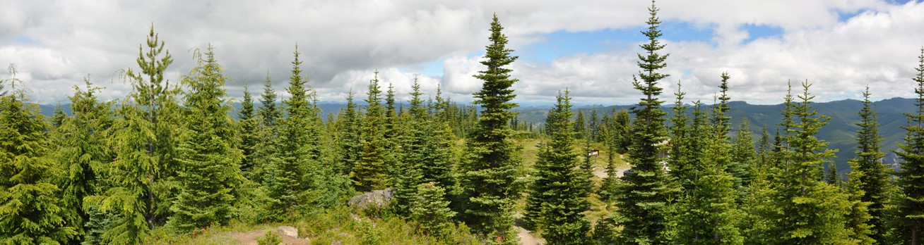 suntop lookout