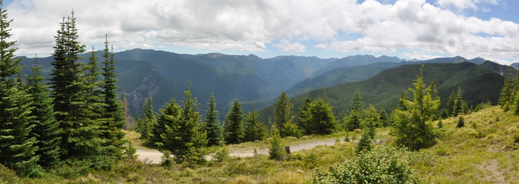 suntop lookout